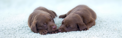 Blog Header Image