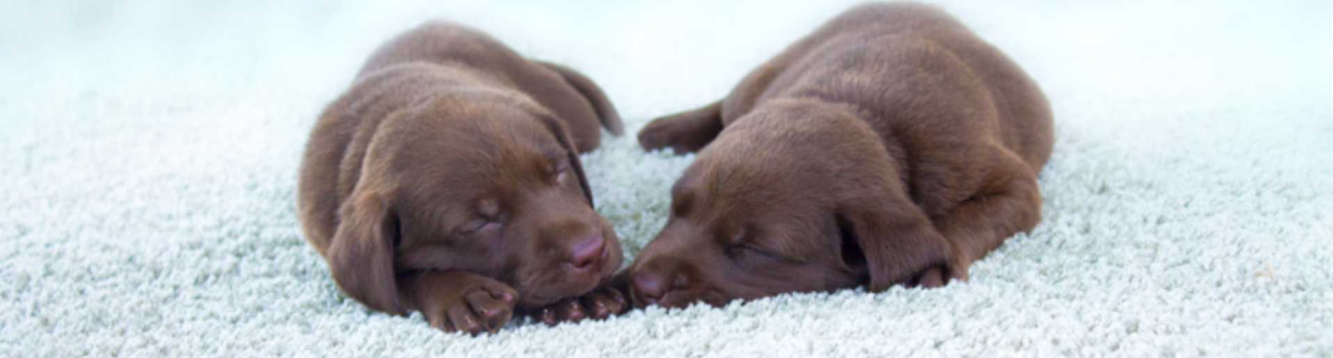 Blog Header Image